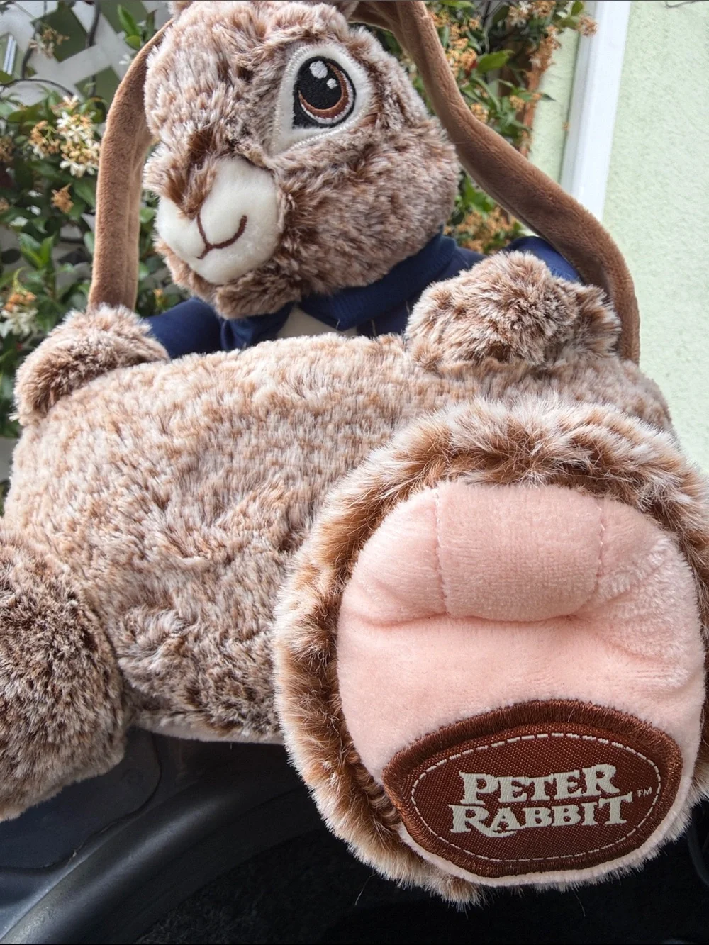 Peter Rabbit Basket - Brown with Navy Jacket